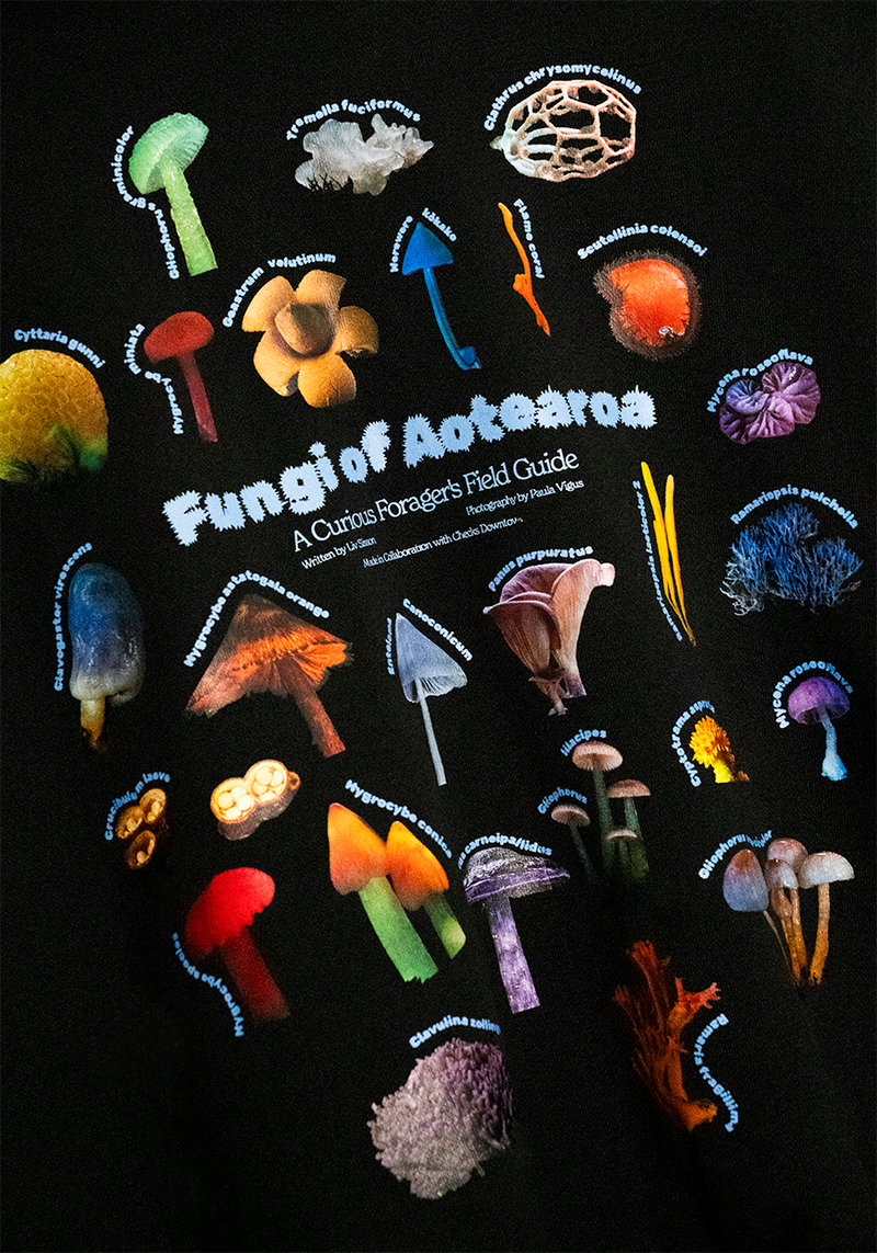 Fungi of Aotearoa Hoodie | CHECKS DOWNTOWN