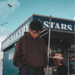 Evergreen Hoodie Cocoa | CHECKS DOWNTOWN