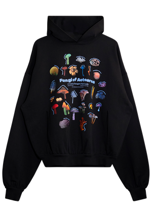 Fungi of Aotearoa Hoodie | CHECKS DOWNTOWN