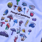 Fungi of Aotearoa Tee White | CHECKS DOWNTOWN
